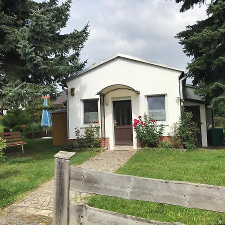 Ferienhaus Am Kaltenstein Olbersdorf Dış mekan fotoğraf